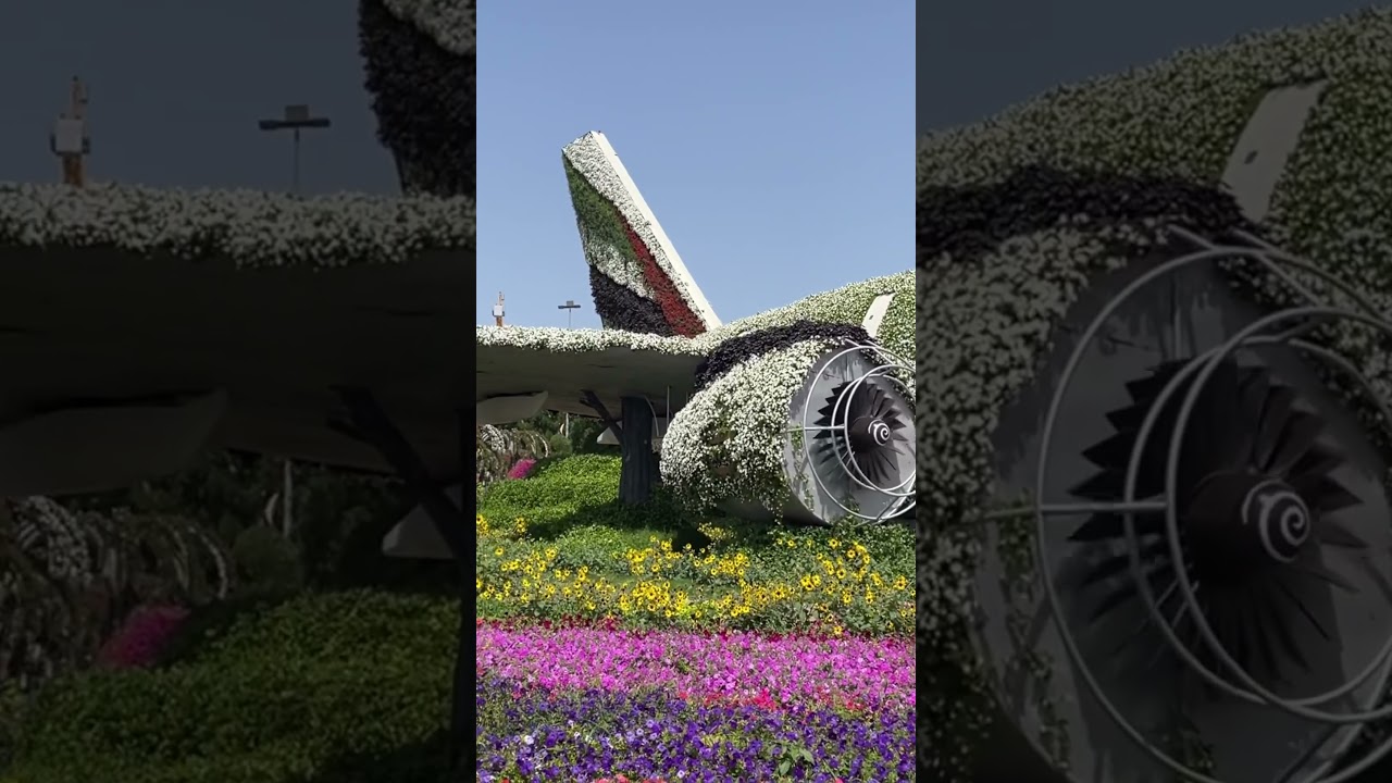 Emirates Boeing 777 🌸🌼🌺 #emirates #boeing #boeing777 #flowers #miraclegarden #dubai #shortsvideo
