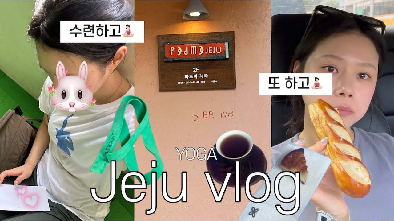여름 제주 막차 혼저옵서예🪷 브이로그, 어렵지만 즐거운 요가는 삶으로 이어져 🧘🏻&zwj;♀️⋯ (한주훈,아난드 요가원, 새벽 요가 수련, 빵귿, 혼자 제주, 틀어져버린 먹계획🐷)