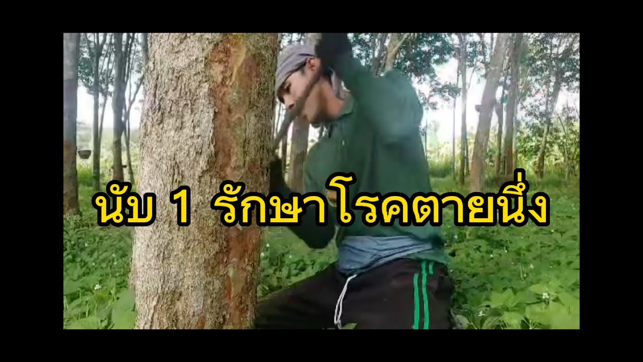 รักษาอาการหน้ายางตายนึ่งให้ได้ผลเร็ว