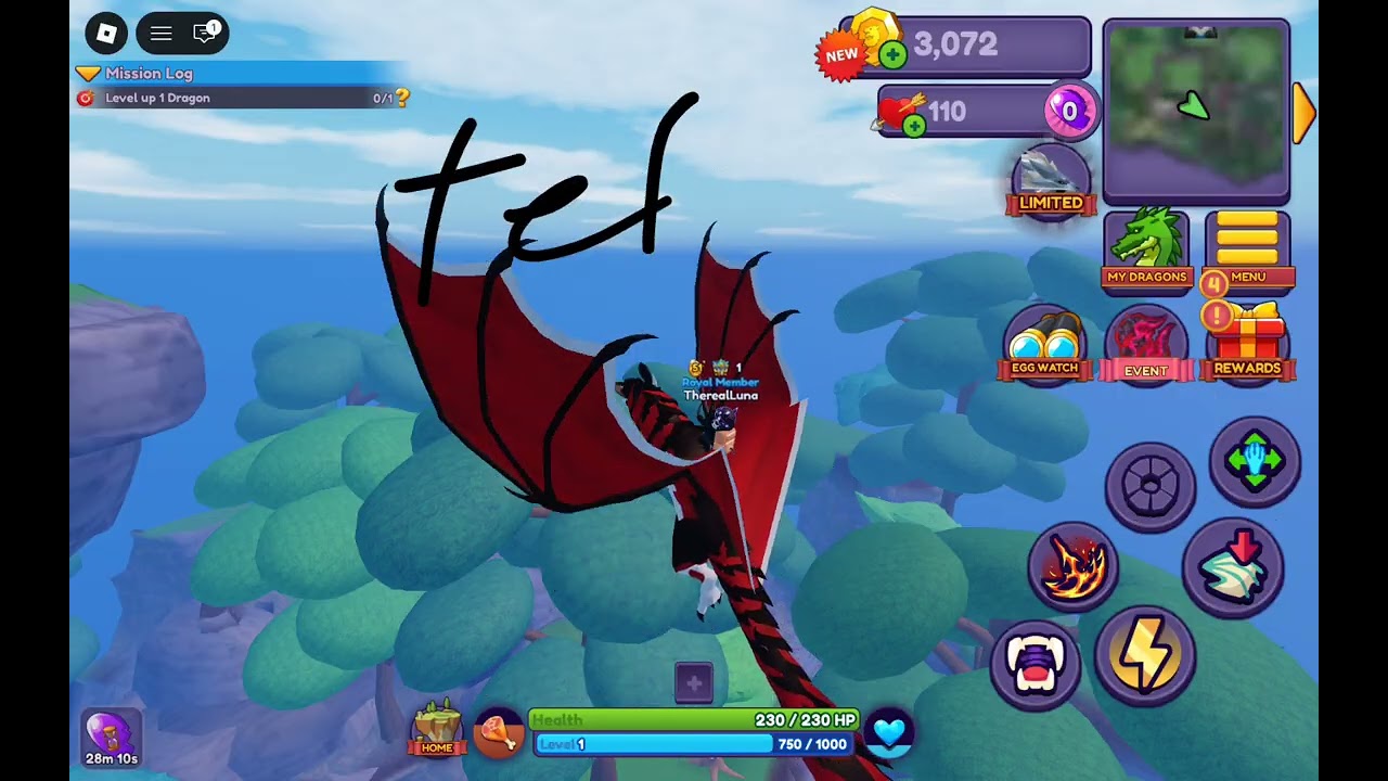 Dragon avantures 