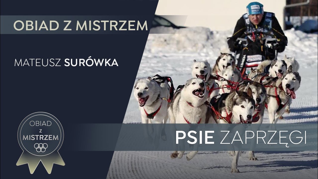Mateusz Surówka - Psie Zaprzęgi - Obiad z Mistrzem - odcinek #3