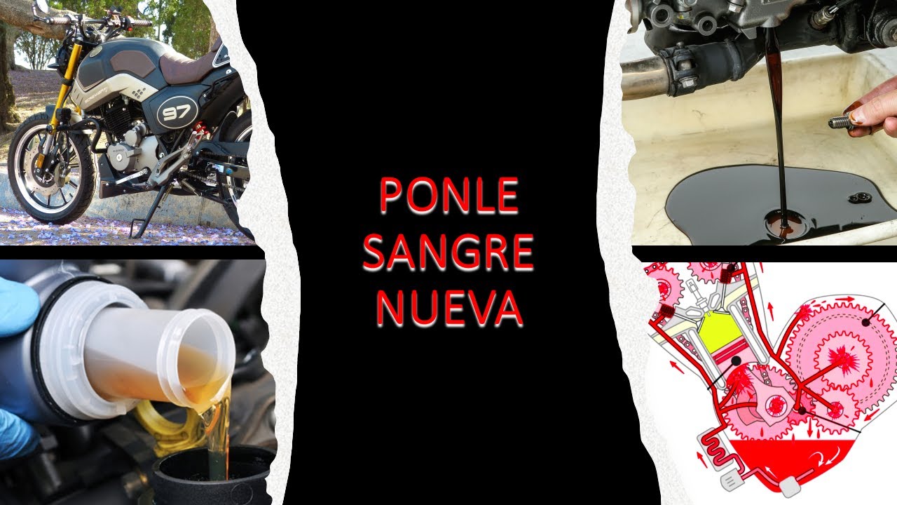 CAMBIO DE ACEITE A LA MOTO VENTO SCREAMER SPORTIVO Y SIMILARES ESPECIFICACIONES CONFORME A MANUAL
