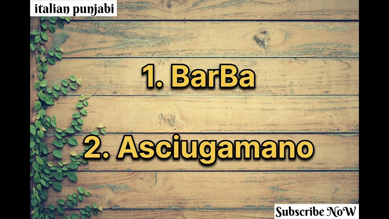 ITALY🇮🇹 ਹਰ ਰੋਜ ਕੰਮ ਆਉਣਗੇ ਇਹ ਸ਼ਬਦ#languagelearning #learnitalian #italianpunjabi600 #study #education