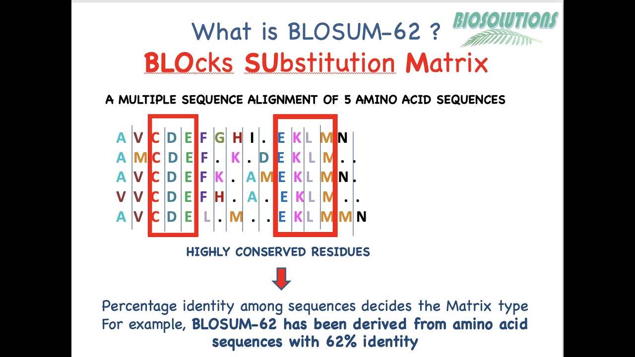 Learn about #BLOSUM-62  matrix | Calculate Max & Gap score for #BLAST-P with example using BLOSUM62