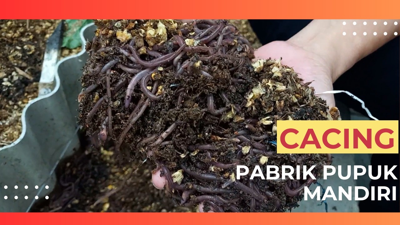 CACING PABRIK PUPUK MANDIRI