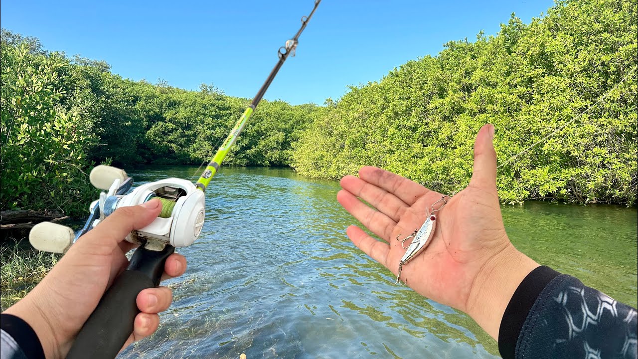 PESCA con BAITCASTING y MINI SEÑUELO // pesca con Roger // pesca de pargos 
