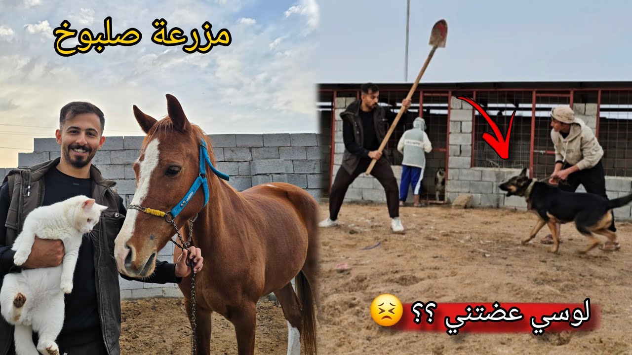 أخذت أطفالي ألى مزرعة صلبوخ | جربنا ركوب الخيل لكن لوسي هجمت علينا!!😨