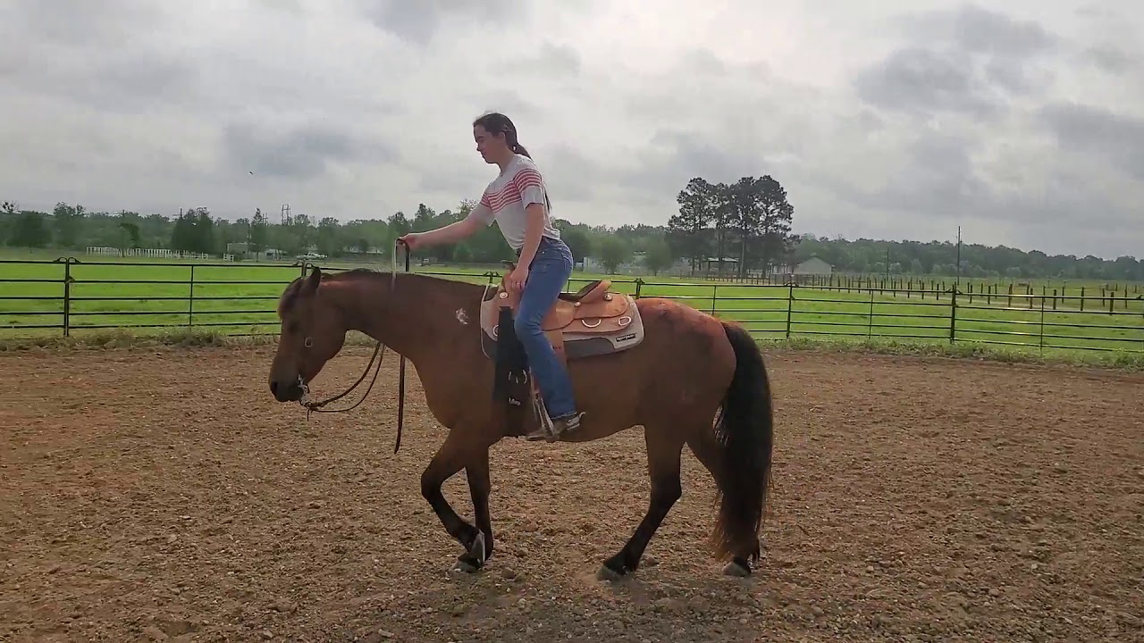 Riding Exercises