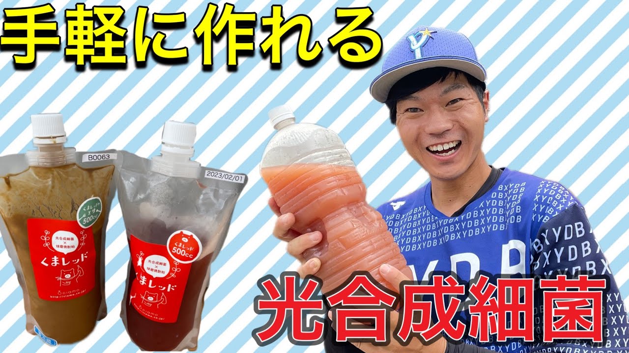 【光合成細菌】農家の最強の液肥、光合成細菌！