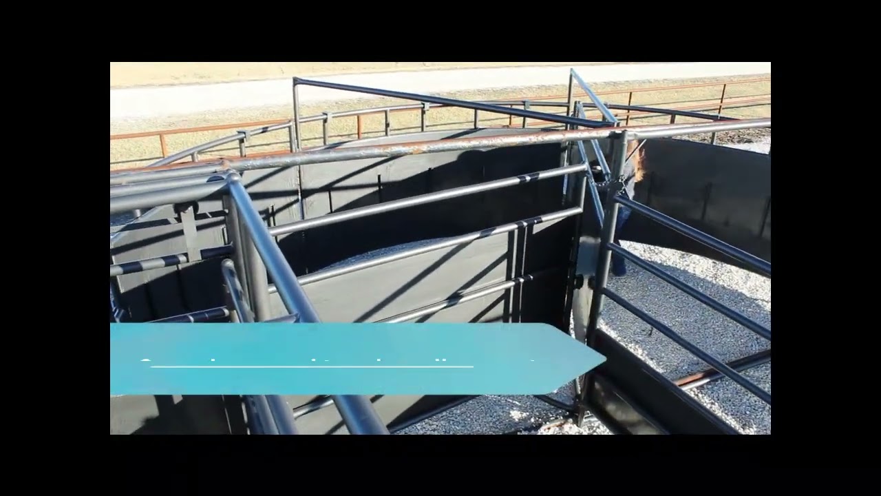 Cornerless Cattle Sweep Tub - Better cattle flow! from RBW Ag