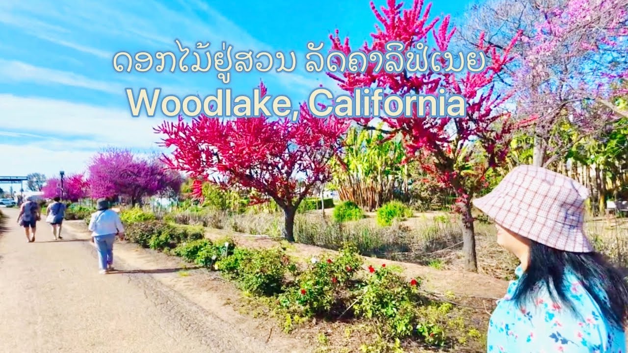 Walking | Spring Blossoms at Woodlake Garden, California  