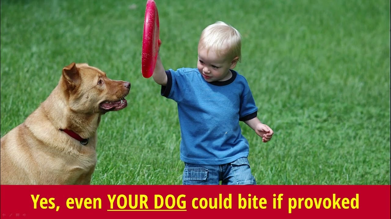 Benefits of Umbrella Insurance