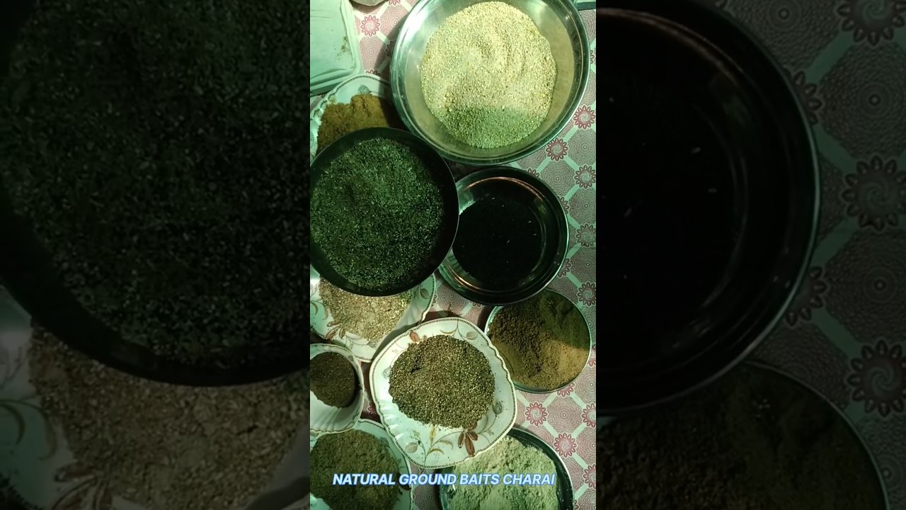 NATURAL ✨ ground Baits CHARAI ingredients for carp fishing