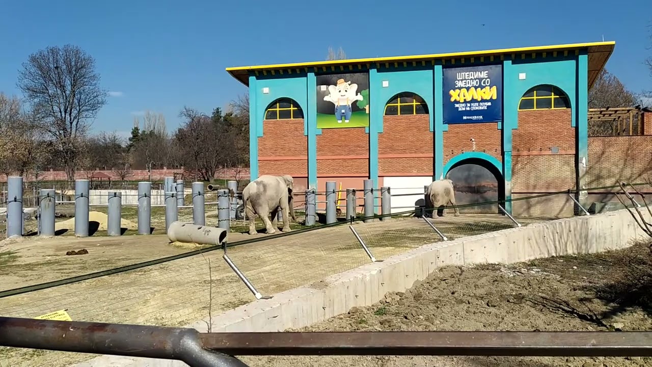 Kopshti zoologjik në Shkup