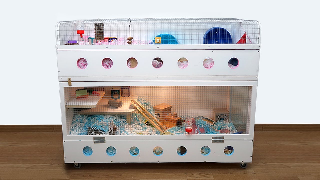 Two DIY Dwarf Hamster Enclosures | 1000sq inches | The Dropper & The Watch Glass