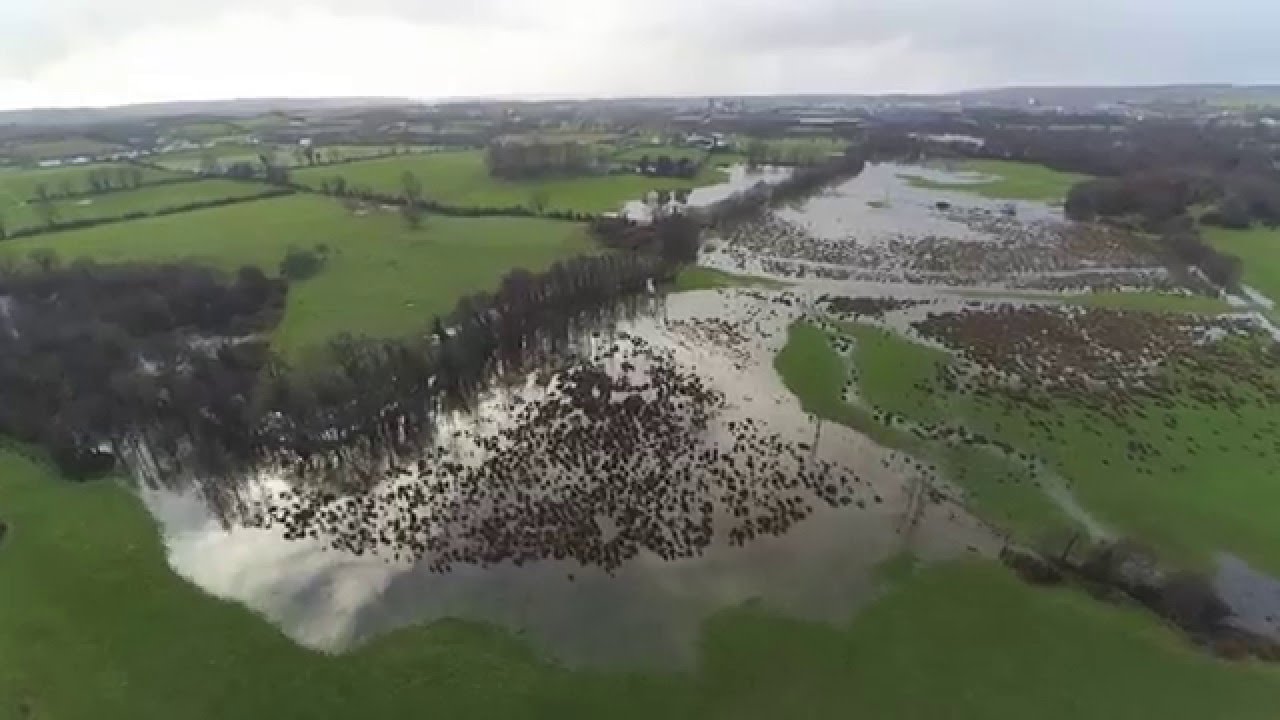Flooded Midleton, Rugby Football Club, Lauriston Mews, Co  Cork 2016