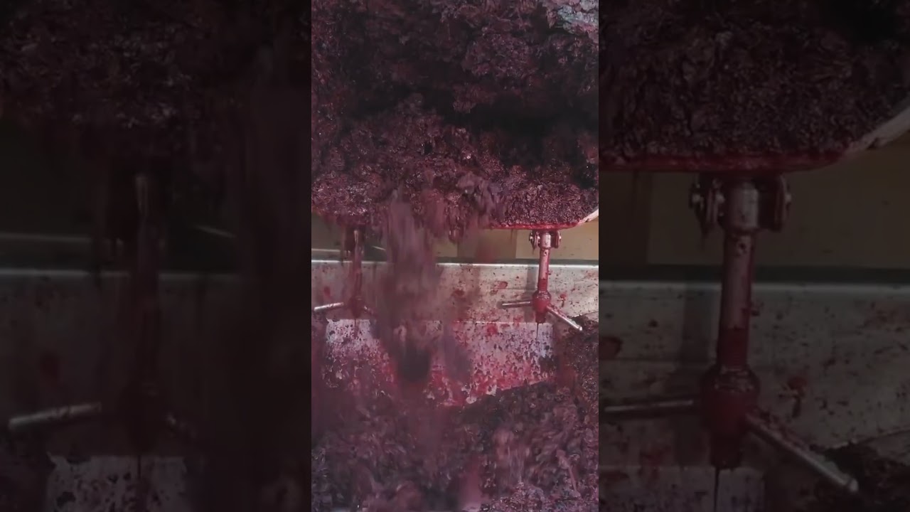 vino, wine, вино