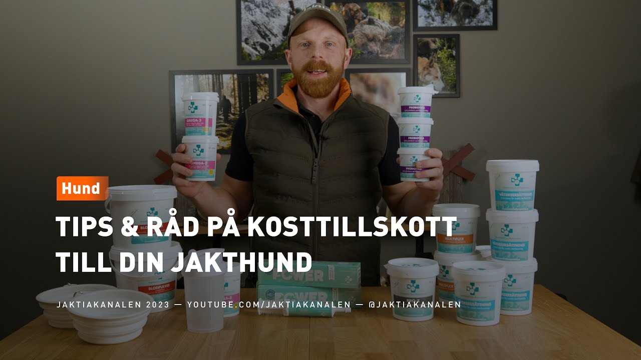 Tips & råd på kosttillskott till din jakthund
