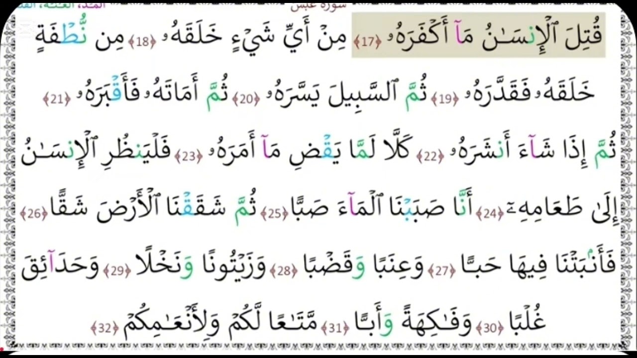 سورة عبس| من الاية 17الى إلى الاية 32|تهجئه ودرج بدون إعلانات بصوت القارئ محمد نوار مهتدي 