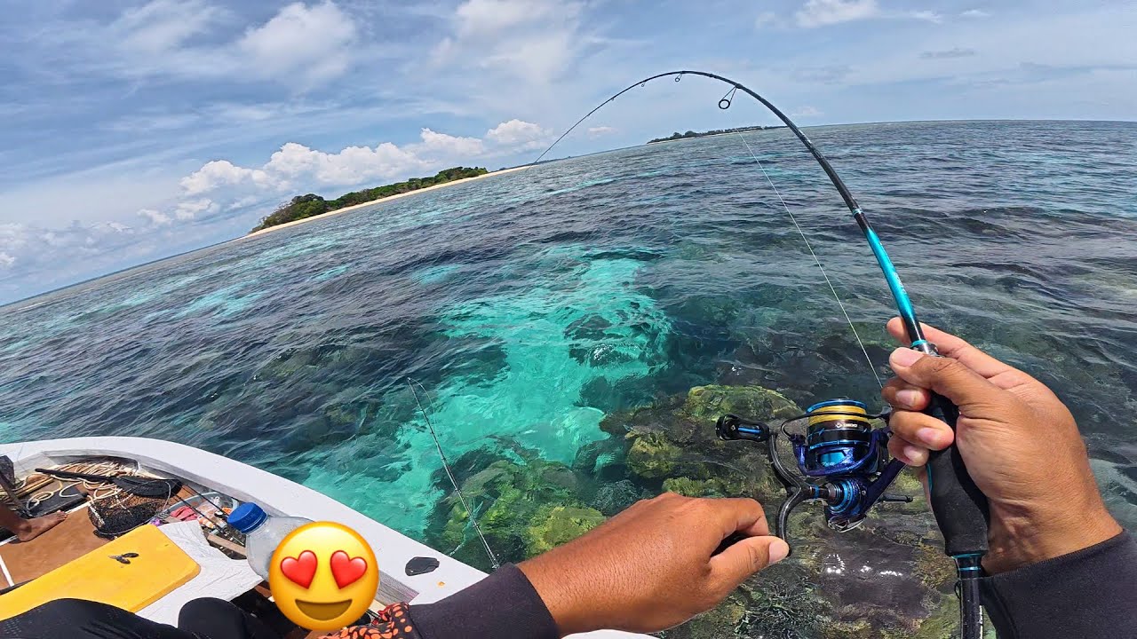 😍 KARANG ALAMI DAN SANGAT TERJAGA , UL CASTING KARANG DANGKAL STRIKE BERTUBI-TUBI, CATCH AND COOK