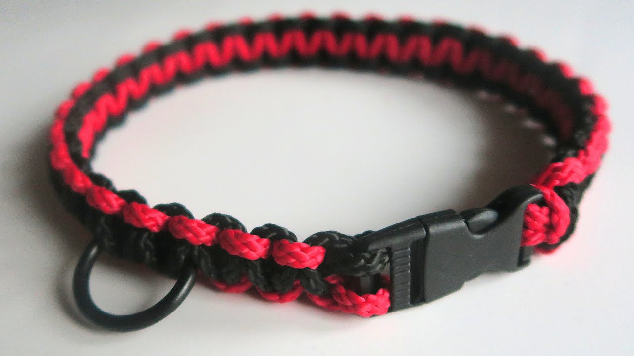 Come fare un collare per cani in paracord con fibbia a scatto. TUTORIAL
