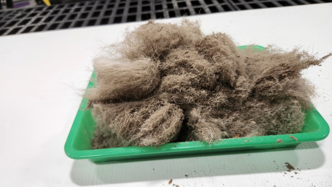 The Rug Wash Episode 1 - Shag Rug Cleaning in Springfield, VA