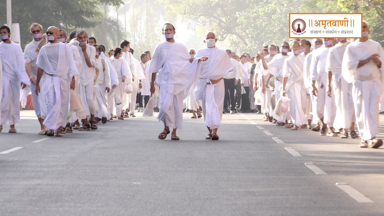 Daily Video Clip~dt.11 Feb.2024~Acharya Mahashraman