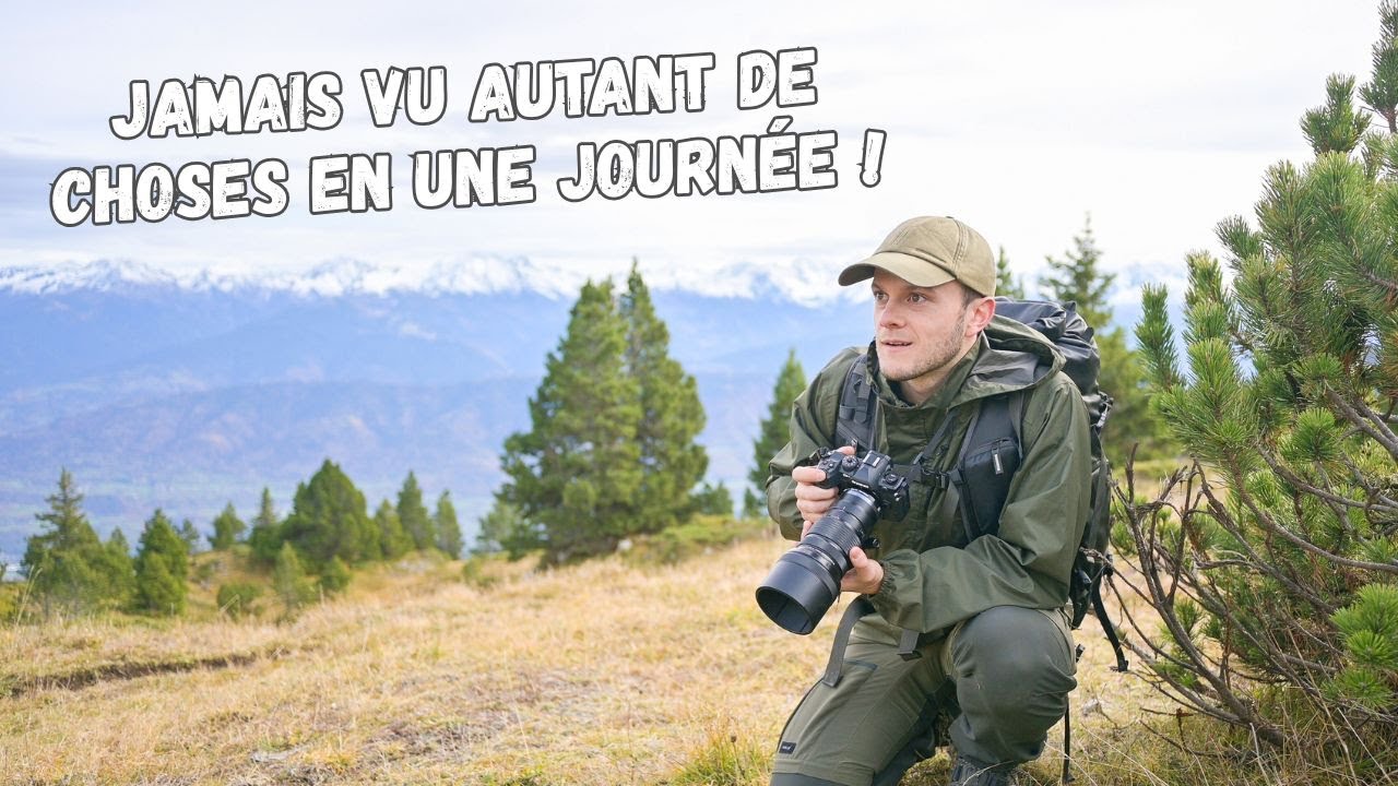 Photo Animalière sur les Sommets de Chartreuse