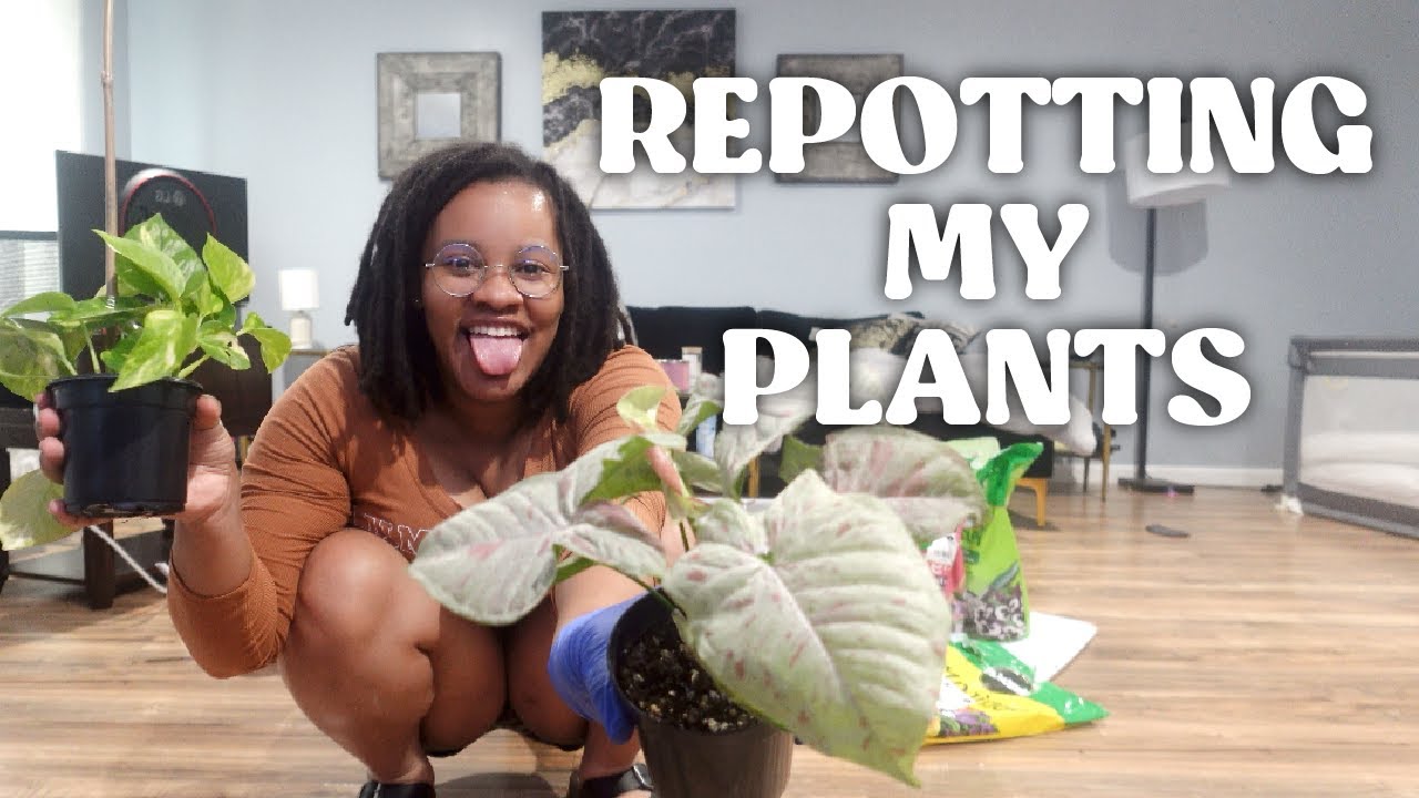 Repotting from Nursery Pots (Beginner Friendly)… Trying Not to Panic 😅 | 🌱 plant mom era • ep 1