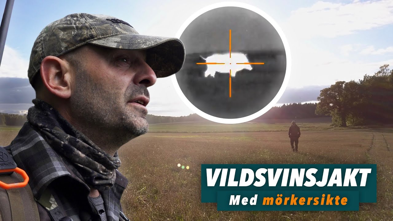 Vildsvinsjakt med mörkersikte!