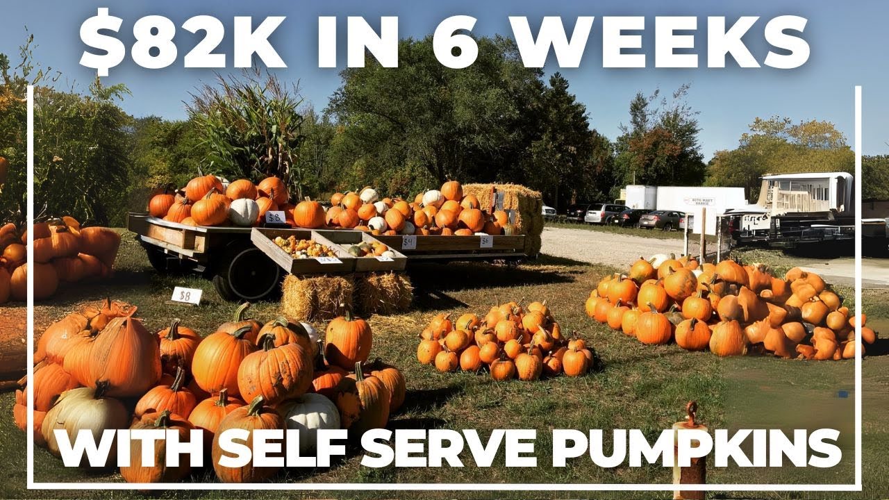 23-Year-Old Makes $82,000 in 6 Weeks Selling Pumpkins