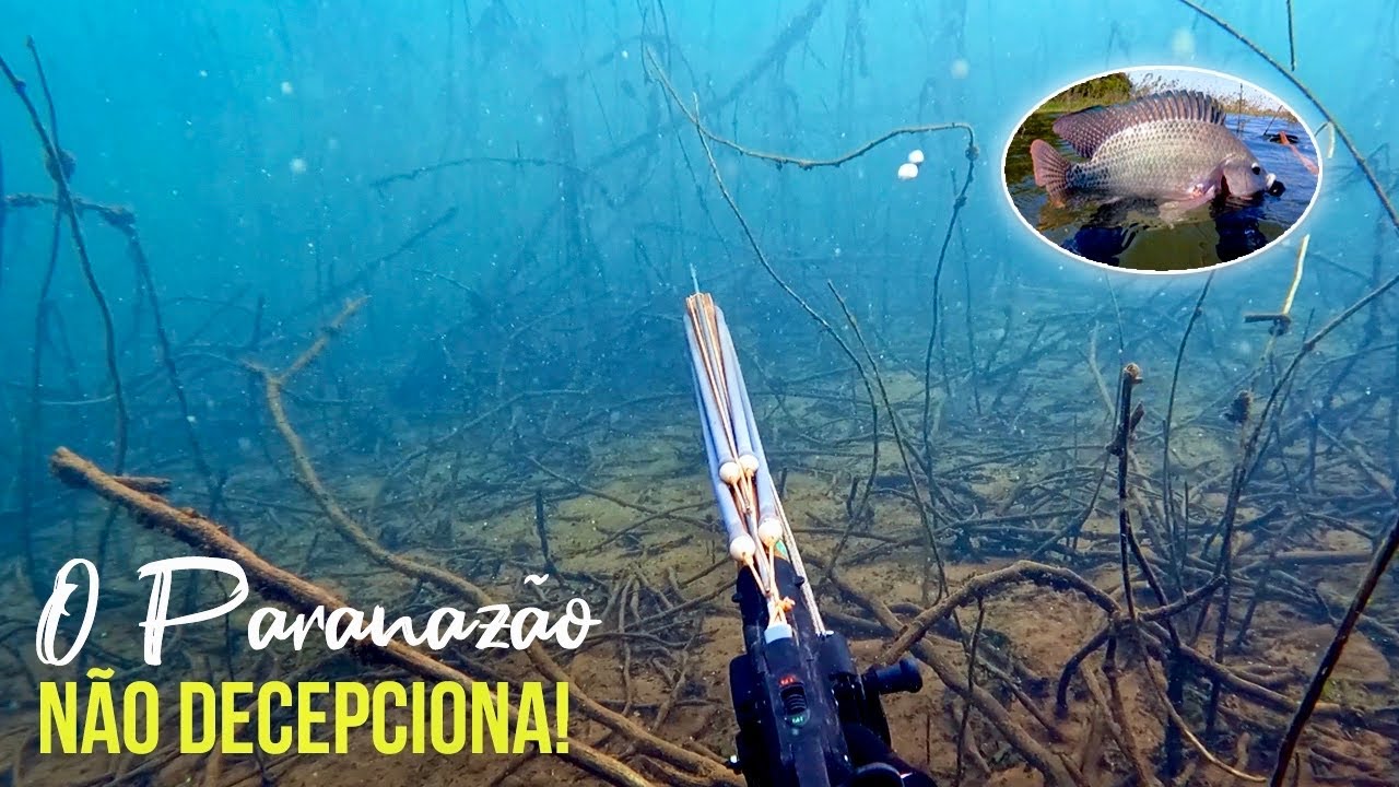 PESCARIA EM ÁGUA CRISTALINA! Pesca Sub - SubTv Spearfishing