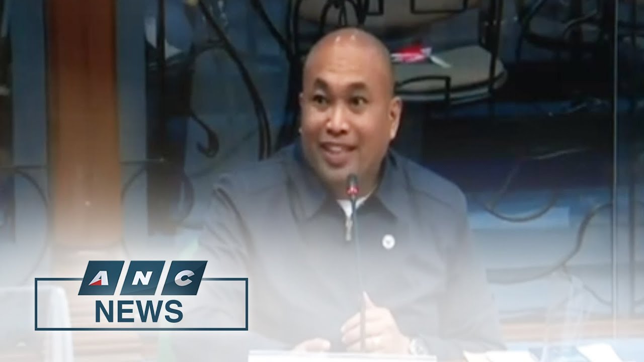 Makabayan bloc members deny CPP-NPA links in Senate probe on red-tagging | ANC