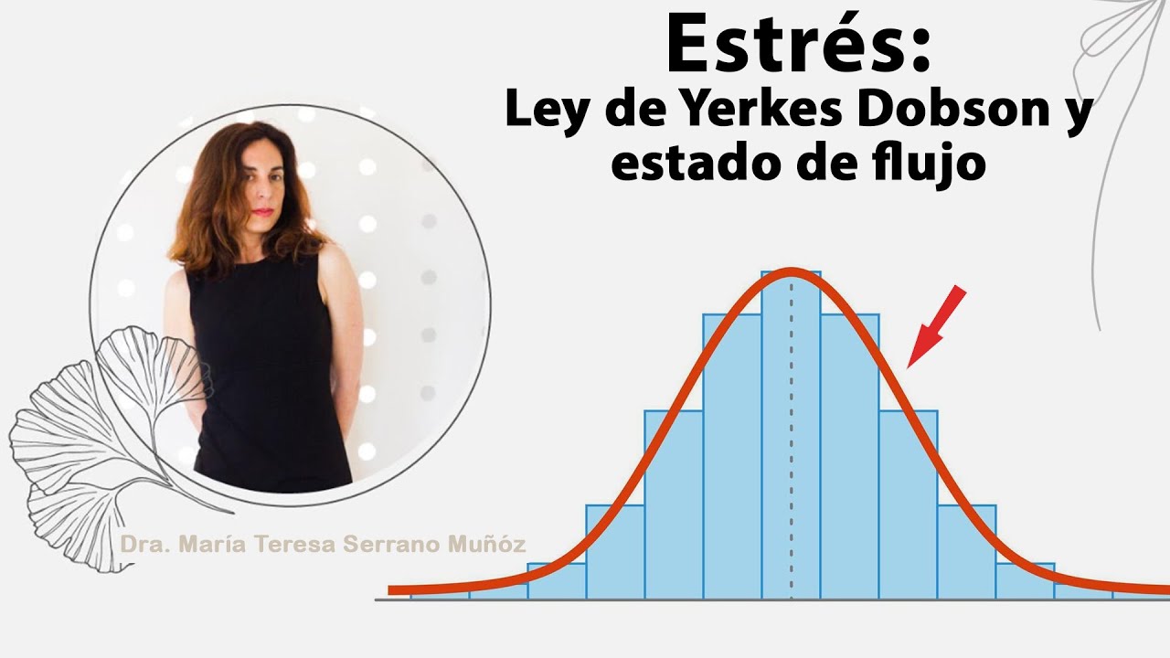 Estrés: Ley de Yerkes - Dobson y estado de flujo