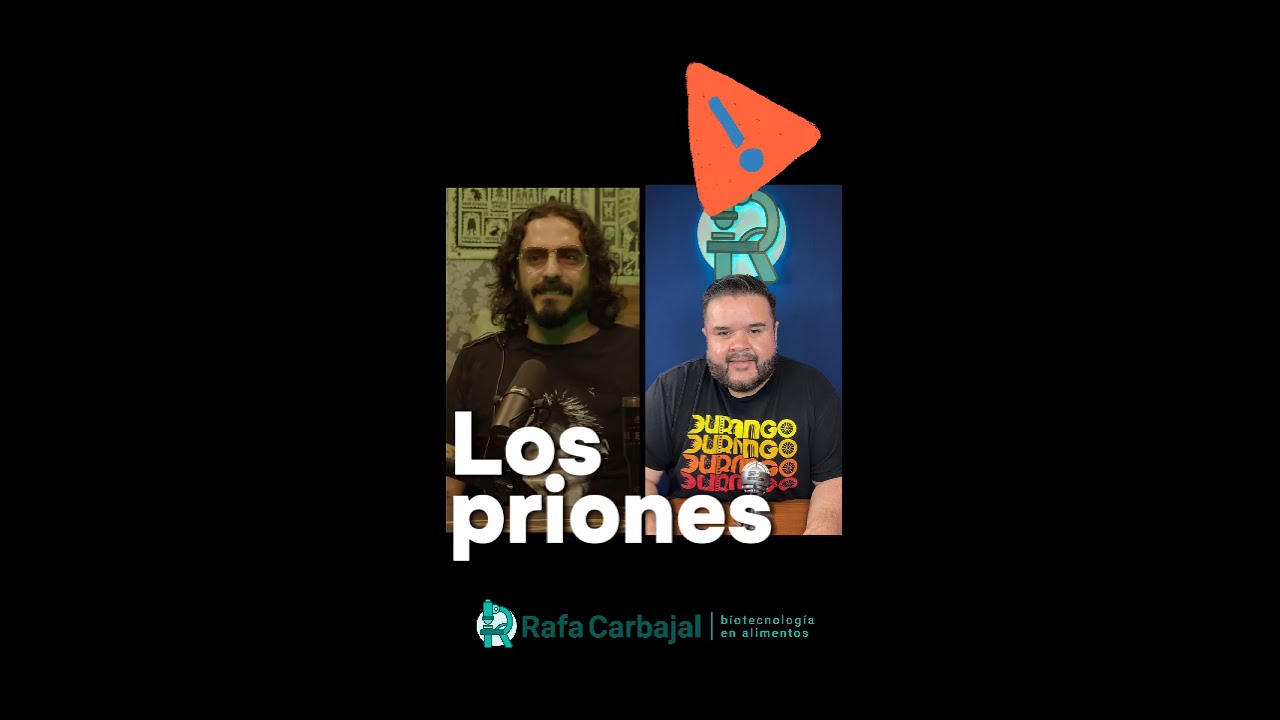 Las prote&iacute;nas infecciosas, Los Priones