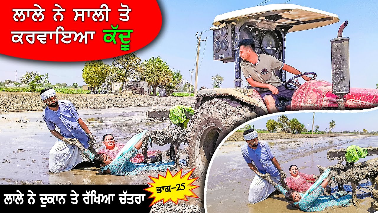 ਲਾਲੇ ਨੇ ਸਾਲੀ ਤੋਂ ਕਰਵਾਇਆ ਕੱਦੂ  (Part 25) DESI MASTI TEAM | Punjabi Comedy Movie 2024