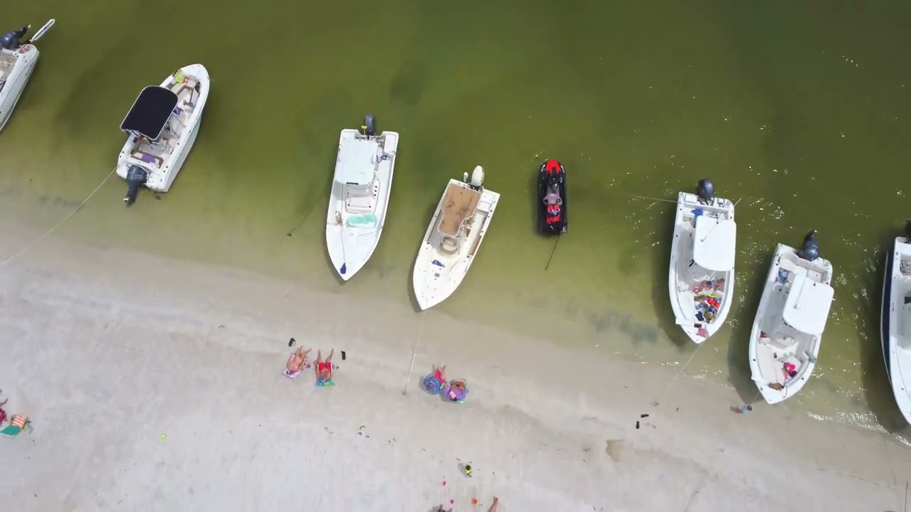 Bird Island Alabama