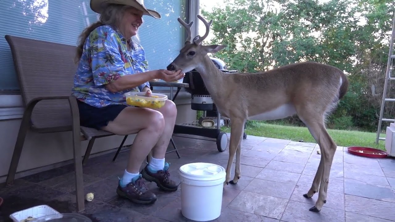 Bambi's party (249)