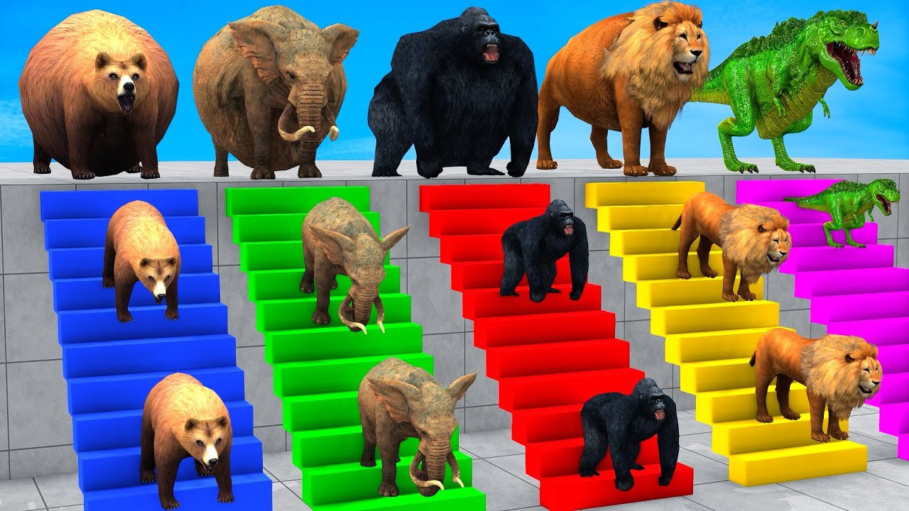 Long Slide Game with Cow Elephant Gorilla Hippopotamus Tiger 3d Animal Game Funny 3d Animals
