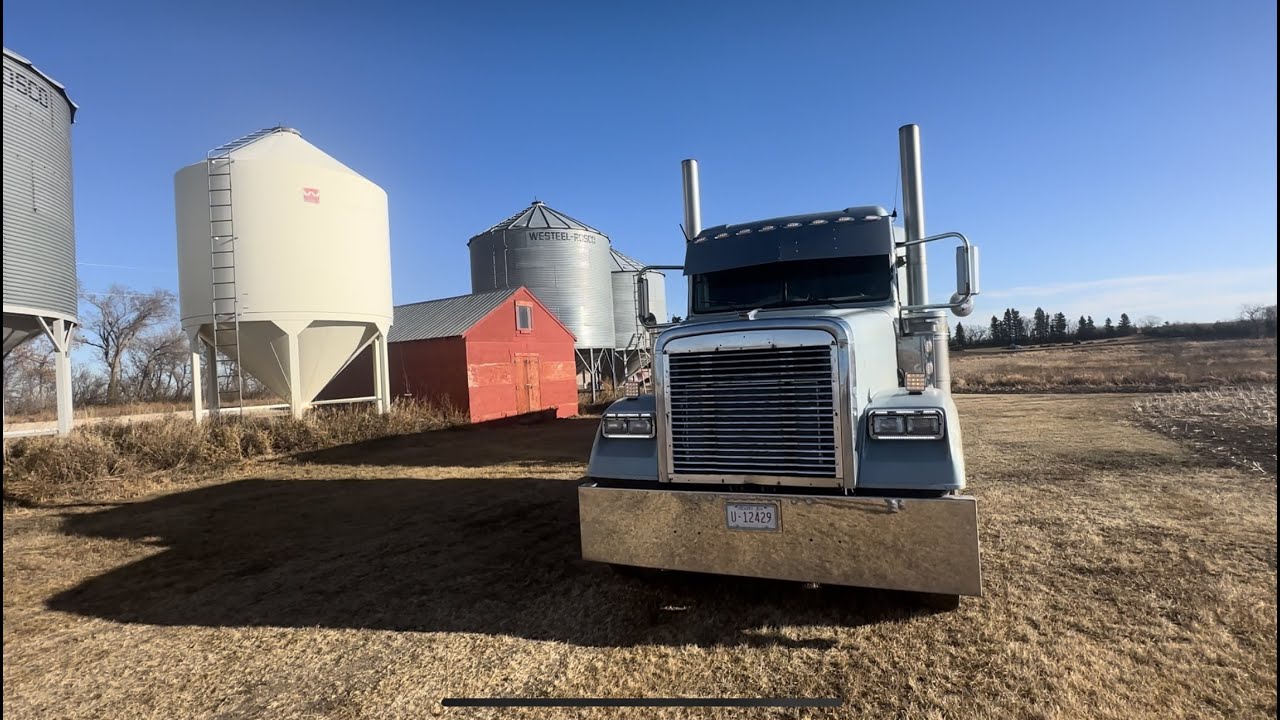Evening grain unload, 7