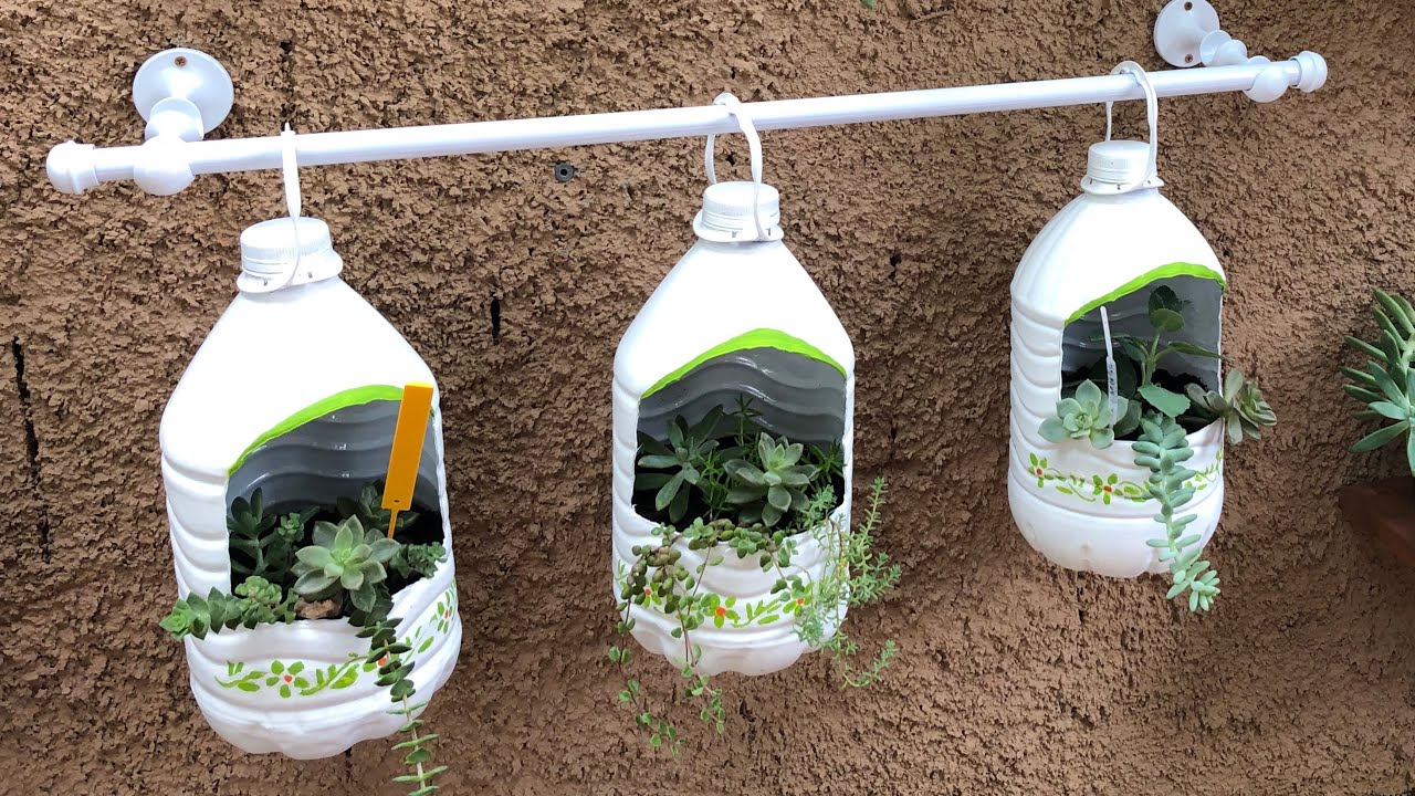 Vasos reciclados para plantar suculentas. 💕