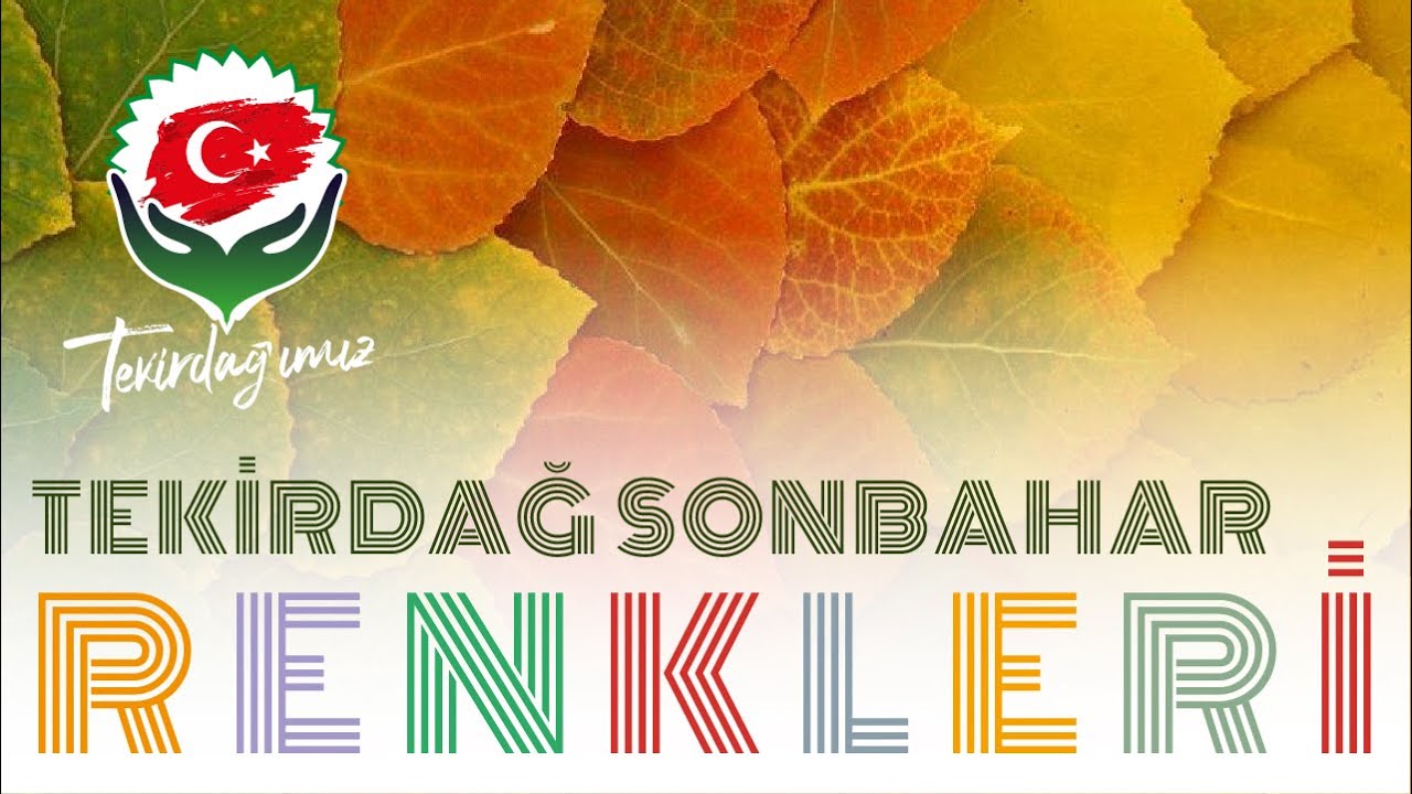 Tekirdağ'da Sonbahar Renkleri