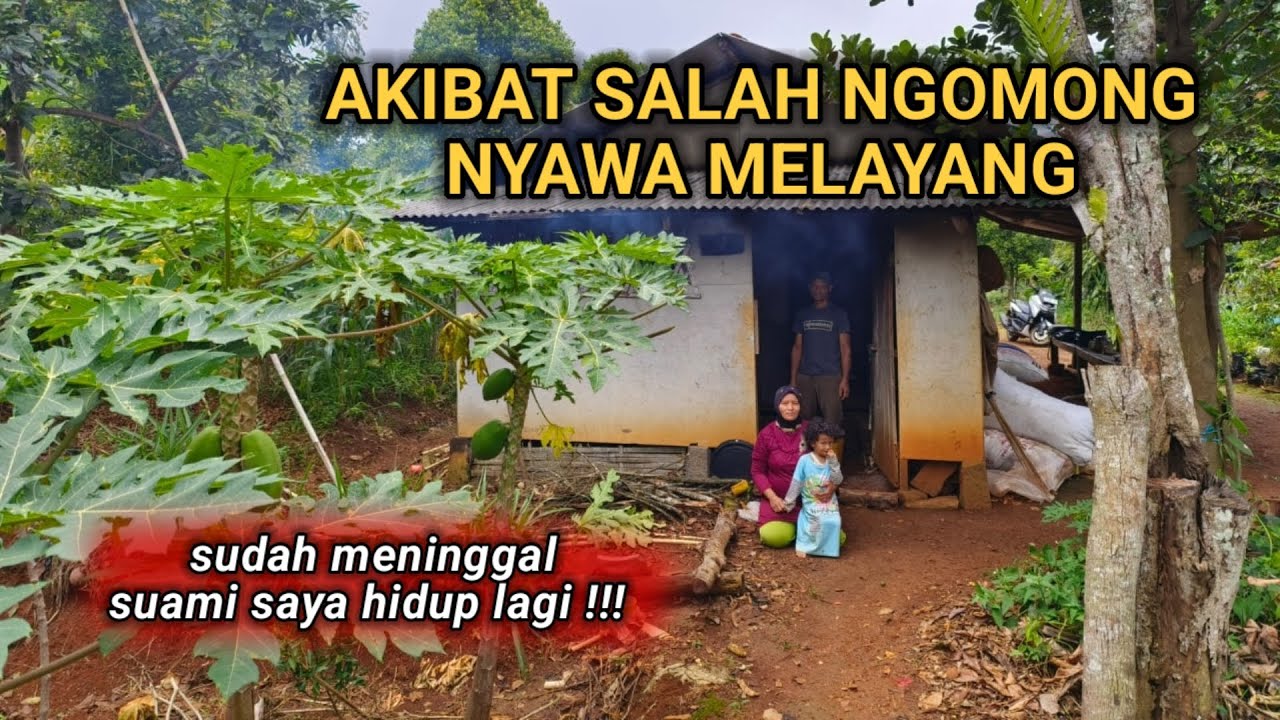 AKIBAT SUMPAH MATI!! 30 TAHUN BERTAHAN HIDUP DI HUTAN RUMAH SAYA SEPERTI GUBUK REYOT