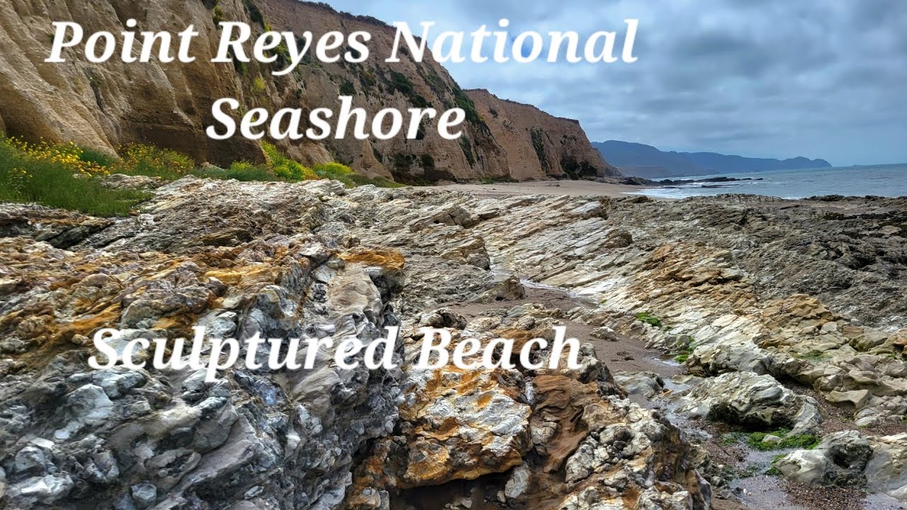 Tidepooling at Sculptured Beach ~ Point Reyes National Seashore