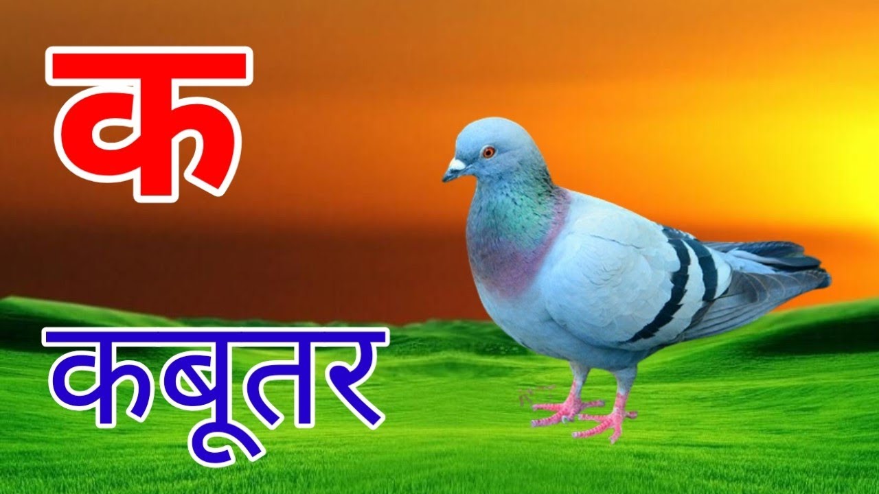 क से कबूतर, अ से अनार | Hindi Varnamala | Kids Educational Video