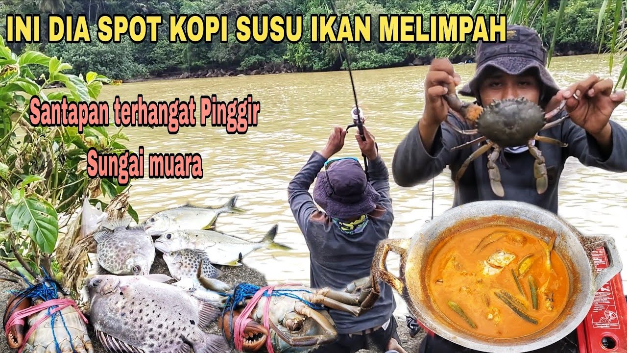 INI DIA SUNGAI KOPI SUSU IKAN MELIMPAH,,!! SANTAPAN TERHANGAT DI PINGGIR MUARA SUNGAI 