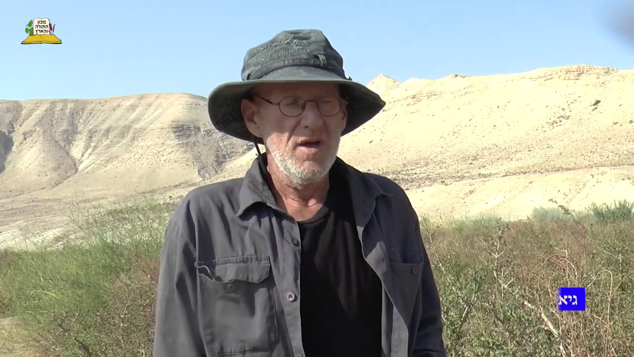 שמן האפרסמון