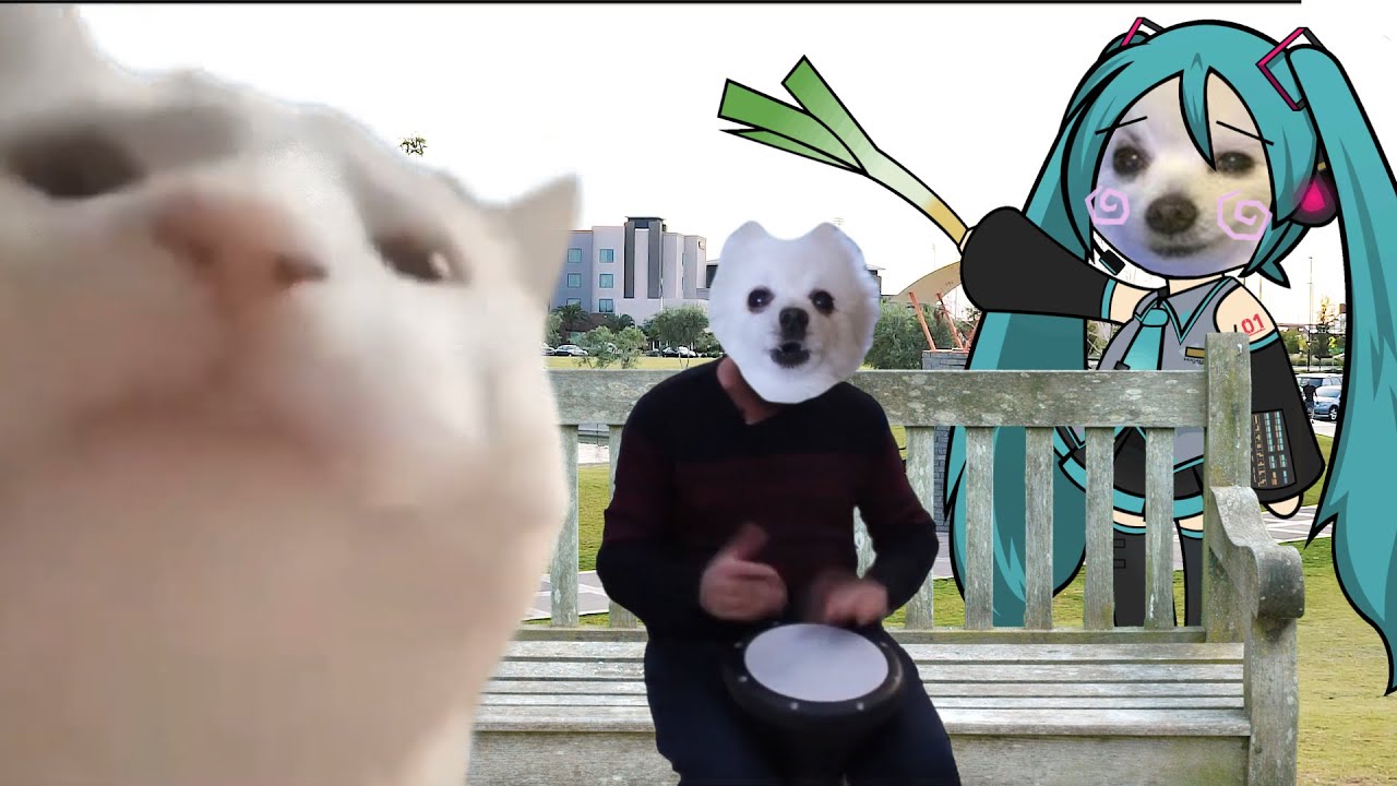 파돌리기송 강아지 리믹스 Ievan Polkka - Dog Version