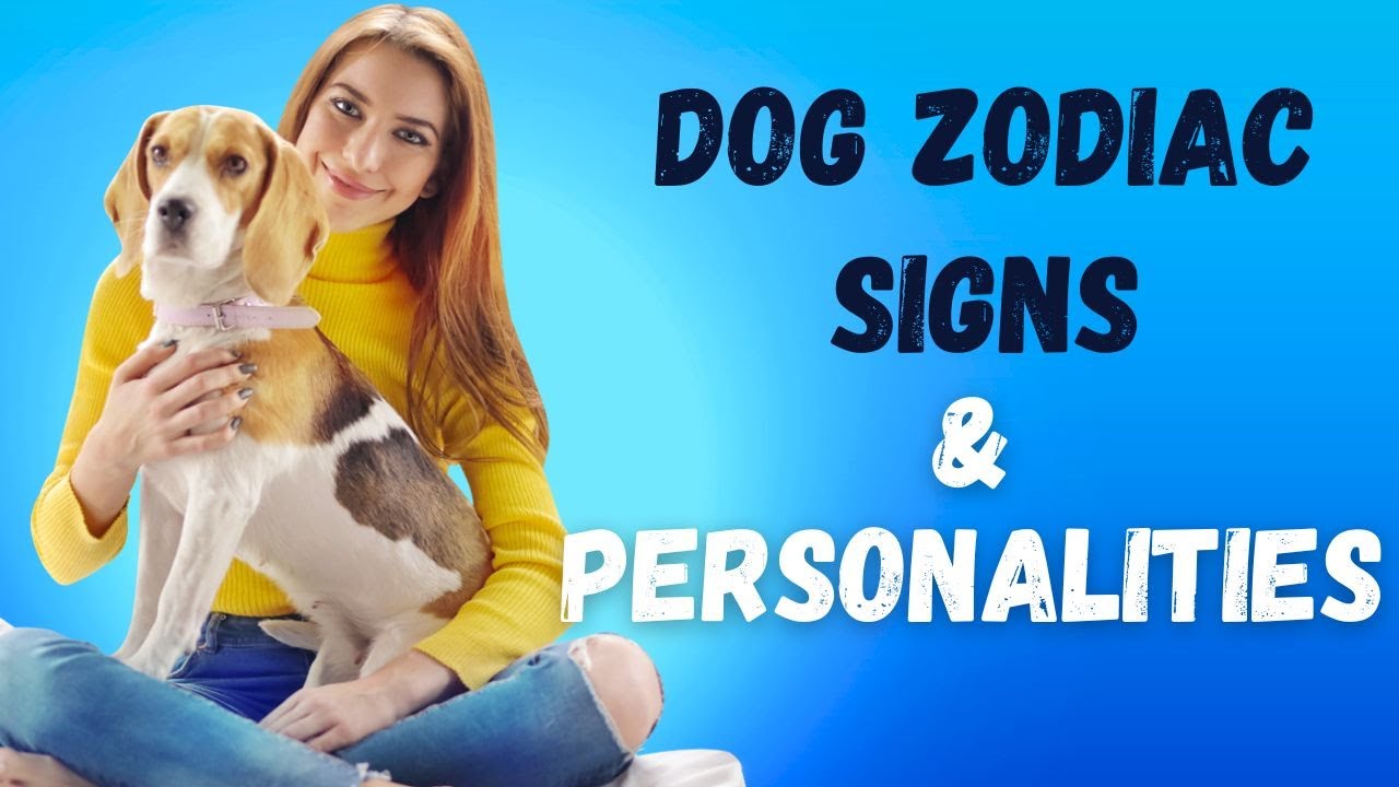 Dog Zodiac Signs: Pet Personalities and Astrology Signs
