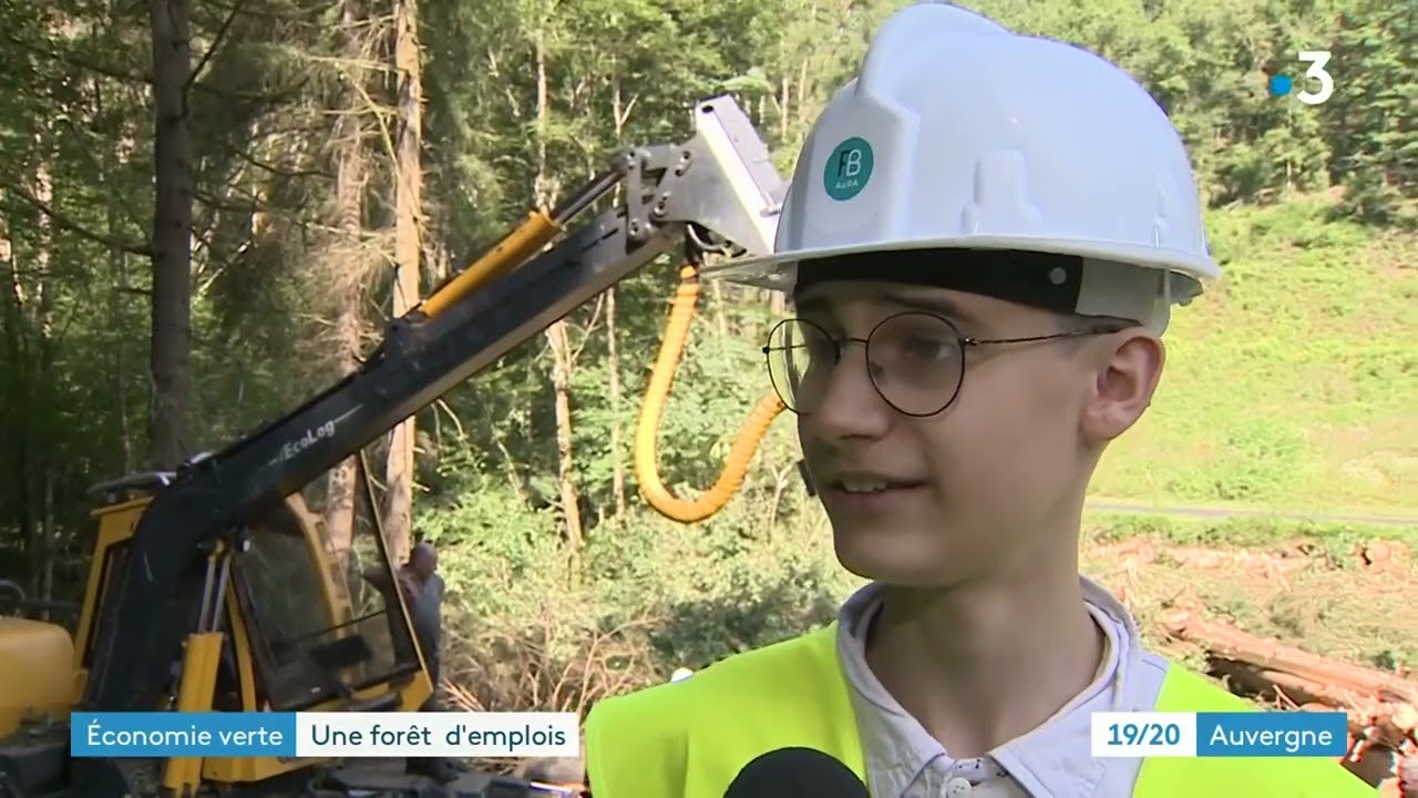 Vis ma vie de bûcheron - JT 19-20  France 3 Auvergne   Émission du mercredi 19 juillet 2023